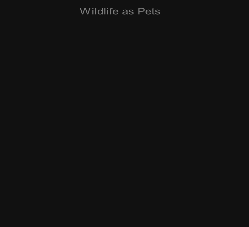 Wildlife as Pets
